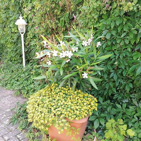 Pension Haus Anneliese Uckeritz Dış mekan fotoğraf