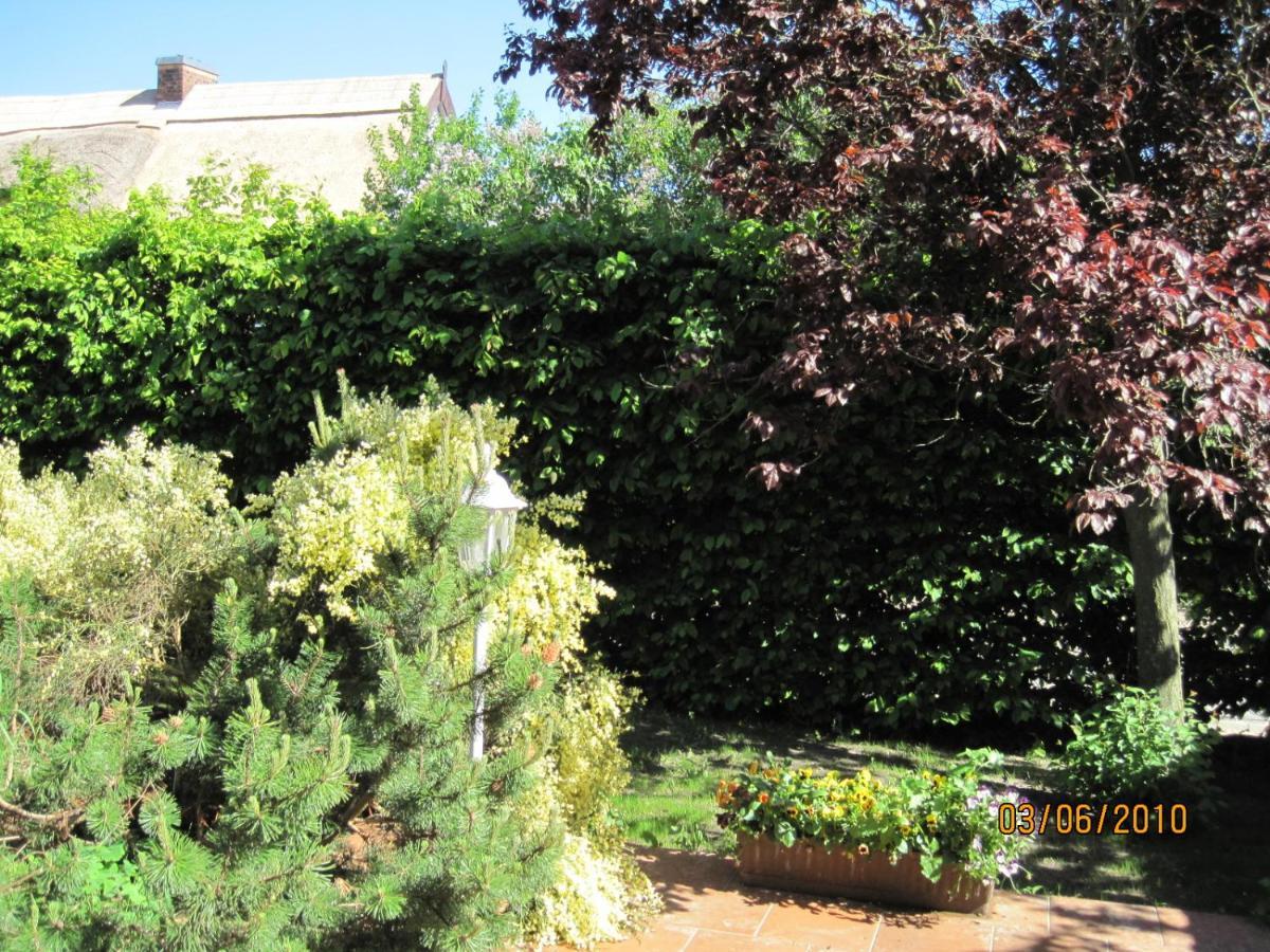 Pension Haus Anneliese Uckeritz Dış mekan fotoğraf