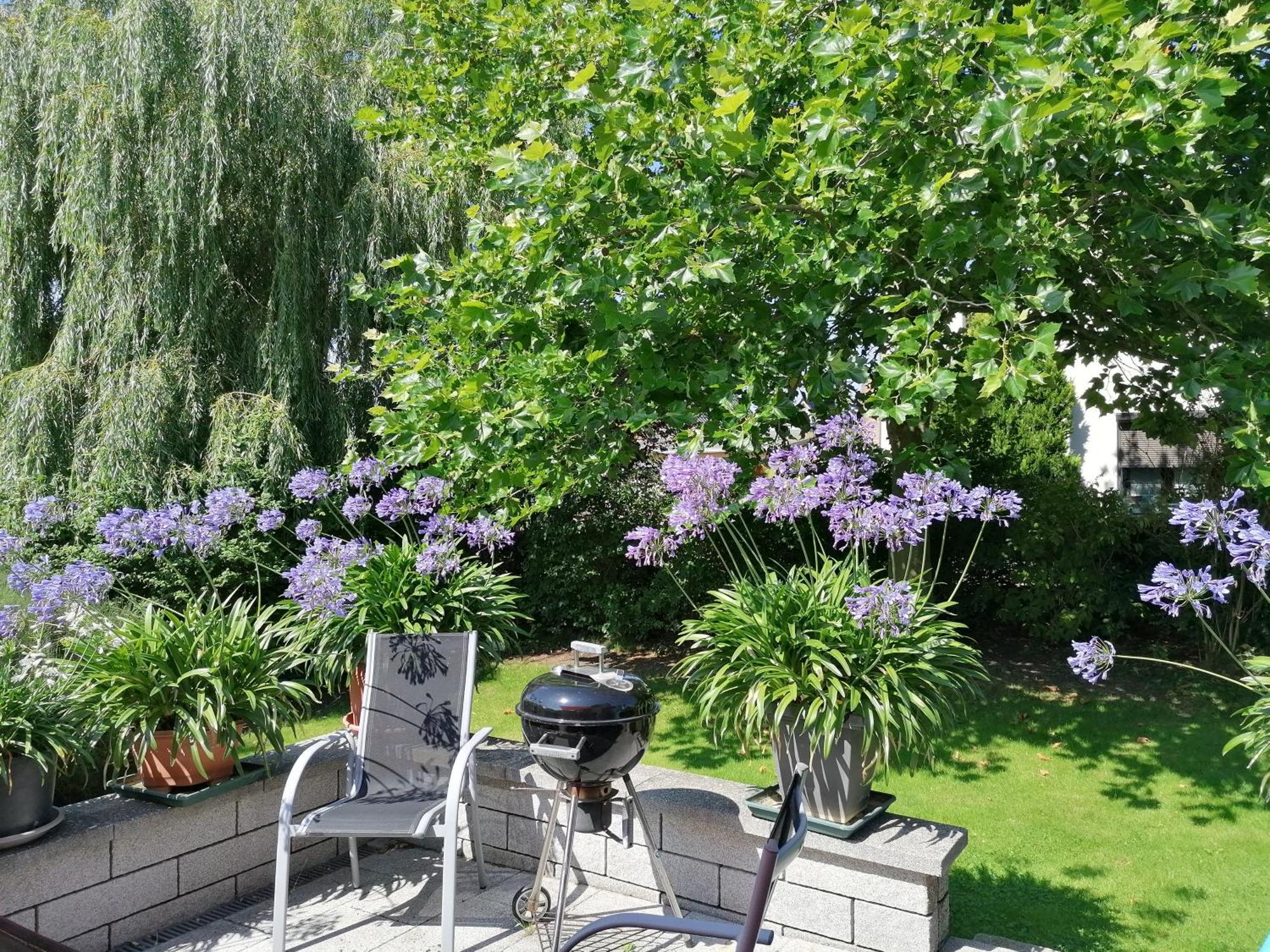 Pension Haus Anneliese Uckeritz Dış mekan fotoğraf