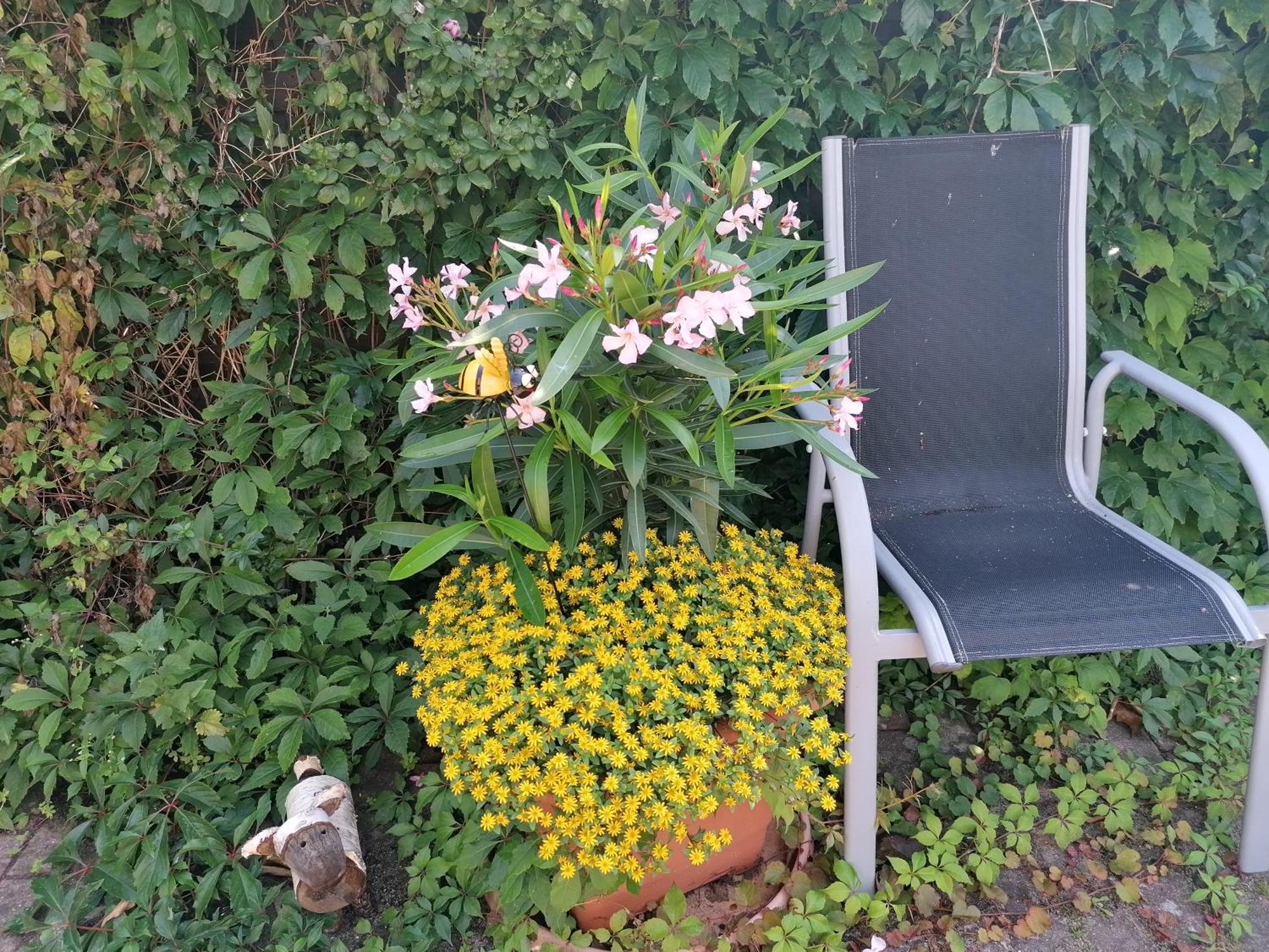 Pension Haus Anneliese Uckeritz Dış mekan fotoğraf