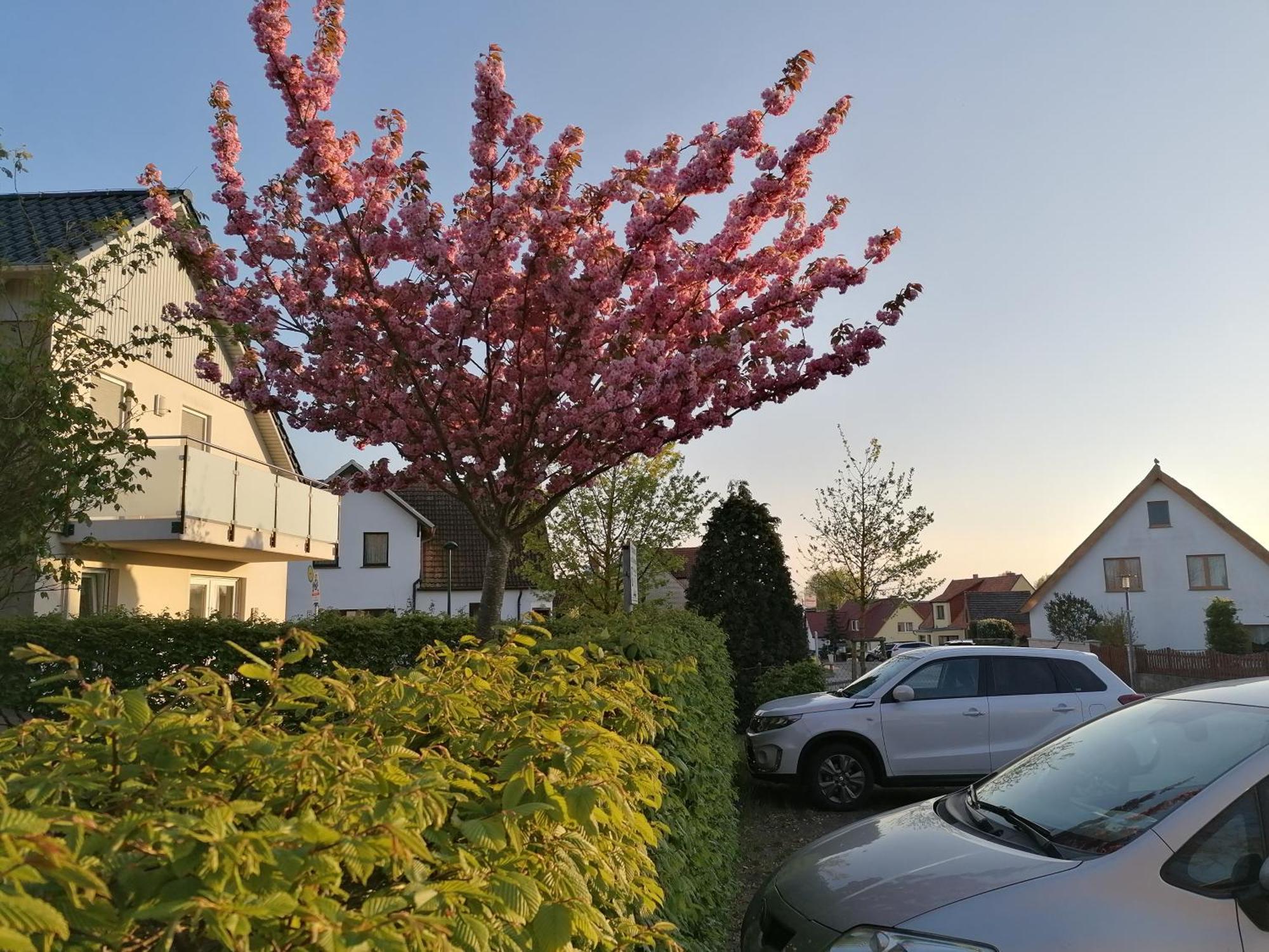 Pension Haus Anneliese Uckeritz Dış mekan fotoğraf