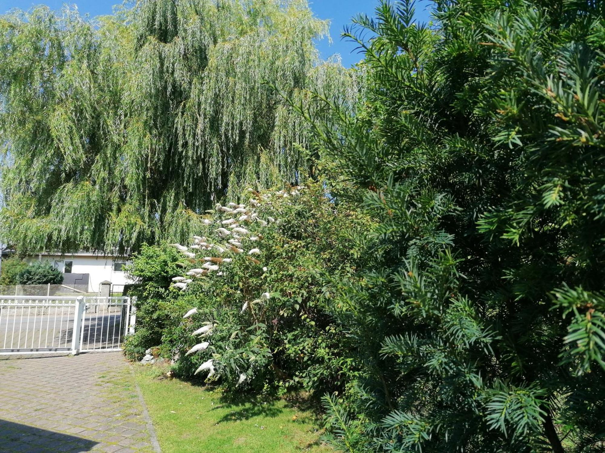 Pension Haus Anneliese Uckeritz Dış mekan fotoğraf
