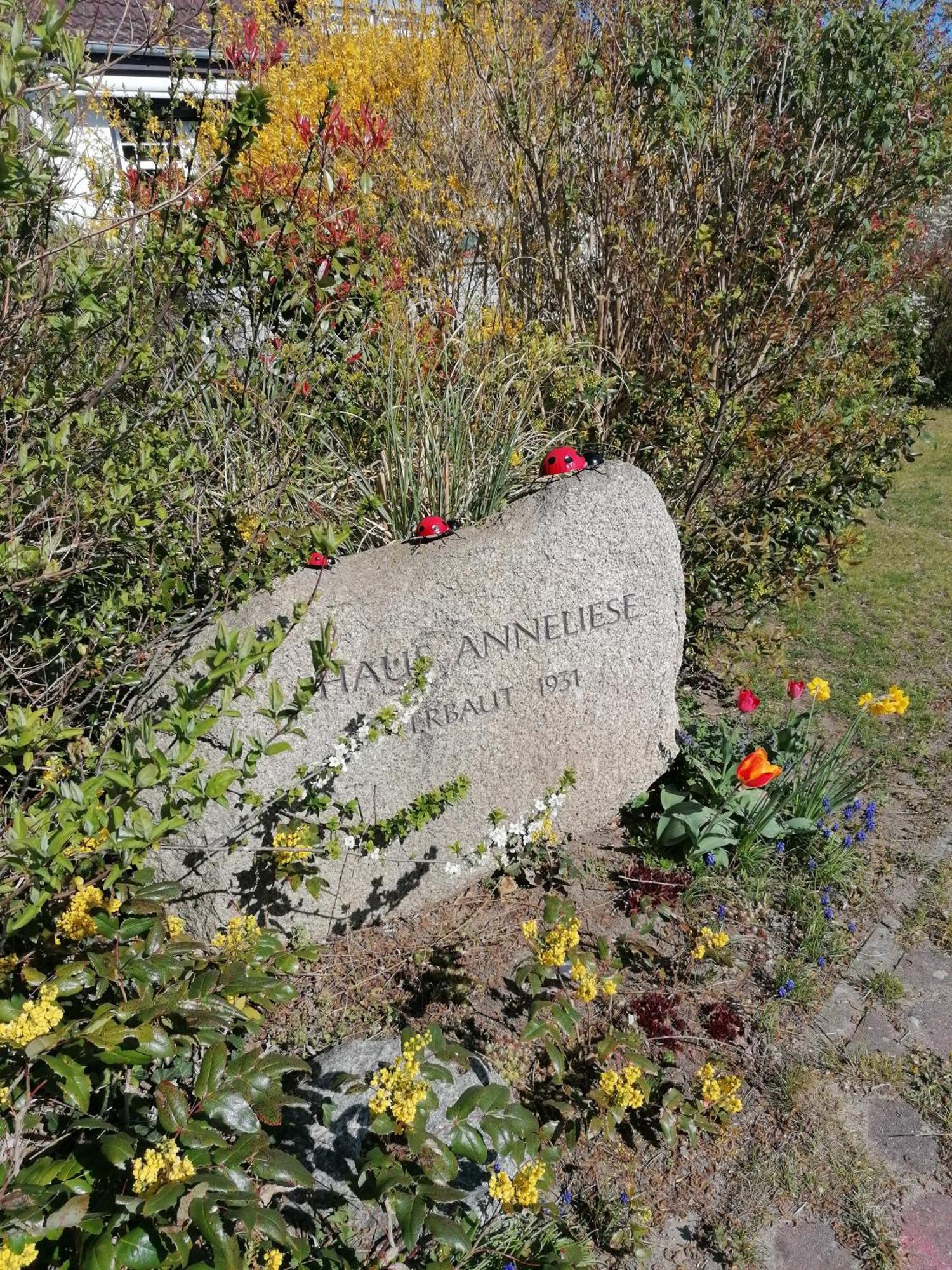 Pension Haus Anneliese Uckeritz Dış mekan fotoğraf